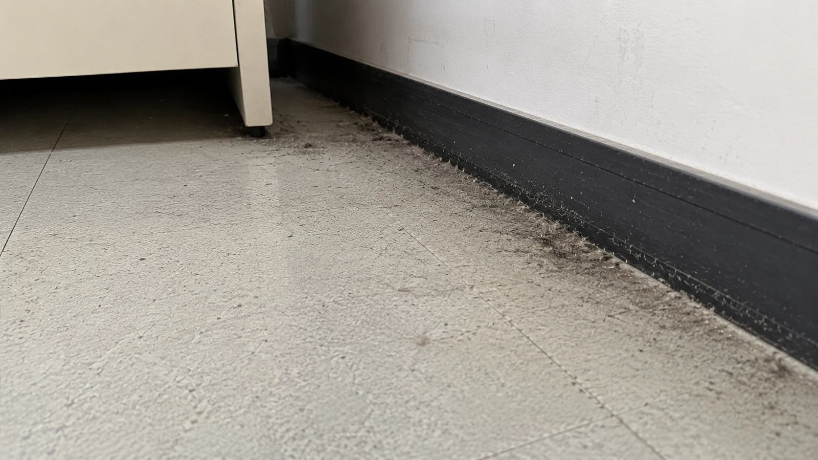 Office cleaning care process